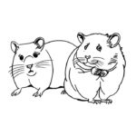 Raskrasil.com-Coloring-Pages-Hamster-1