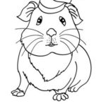 Raskrasil.com-Coloring-Pages-Hamster-100