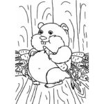 Raskrasil.com-Coloring-Pages-Hamster-109