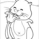 Raskrasil.com-Coloring-Pages-Hamster-17