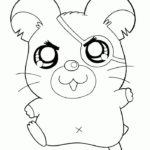 Raskrasil.com-Coloring-Pages-Hamster-21