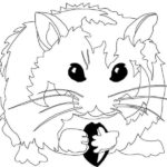 Raskrasil.com-Coloring-Pages-Hamster-22