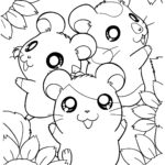 Raskrasil.com-Coloring-Pages-Hamster-25