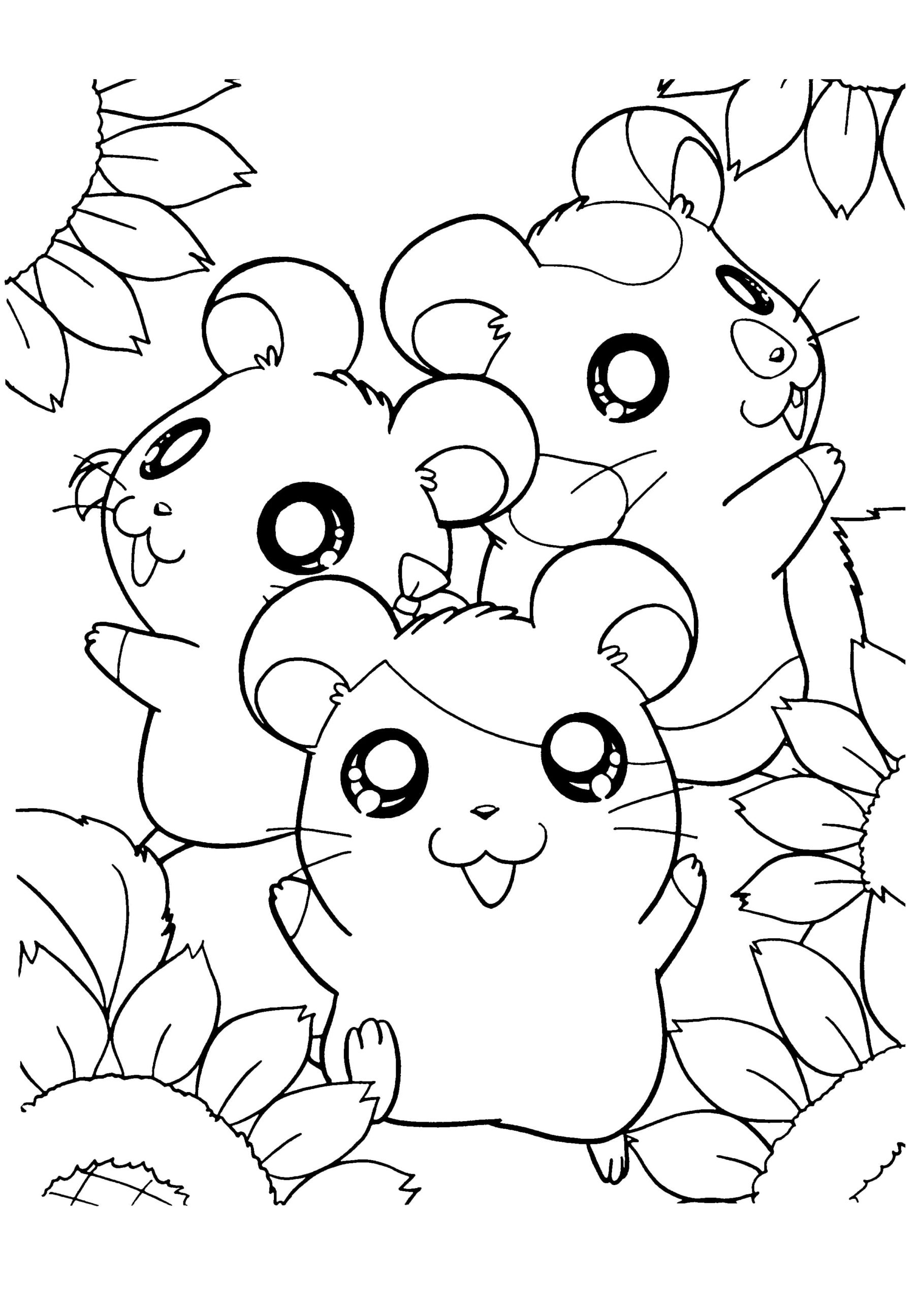 Raskrasil.com-Coloring-Pages-Hamster-25