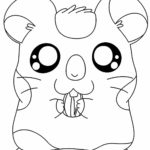 Raskrasil.com-Coloring-Pages-Hamster-27