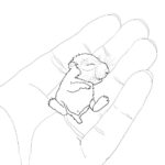 Raskrasil.com-Coloring-Pages-Hamster-28