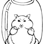 Raskrasil.com-Coloring-Pages-Hamster-43