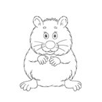 Raskrasil.com-Coloring-Pages-Hamster-50