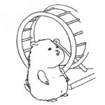 Raskrasil.com-Coloring-Pages-Hamster-56