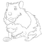 Raskrasil.com-Coloring-Pages-Hamster-59