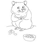 Raskrasil.com-Coloring-Pages-Hamster-63