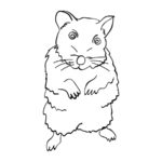 Raskrasil.com-Coloring-Pages-Hamster-67