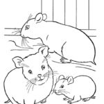 Raskrasil.com-Coloring-Pages-Hamster-69