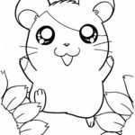 Raskrasil.com-Coloring-Pages-Hamster-7