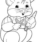 Raskrasil.com-Coloring-Pages-Hamster-70