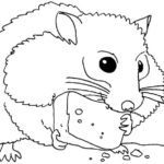 Raskrasil.com-Coloring-Pages-Hamster-71