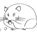 Raskrasil.com-Coloring-Pages-Hamster-72