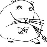 Raskrasil.com-Coloring-Pages-Hamster-74