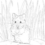 Raskrasil.com-Coloring-Pages-Hamster-77