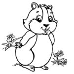 Raskrasil.com-Coloring-Pages-Hamster-81