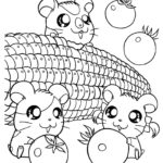 Raskrasil.com-Coloring-Pages-Hamster-83