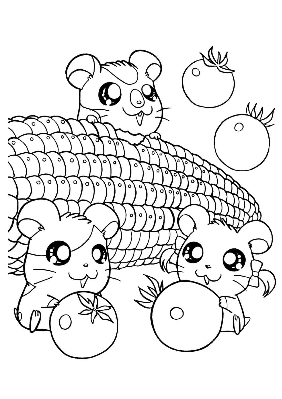 Desenhos de Hamster para Colorir