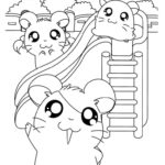 Raskrasil.com-Coloring-Pages-Hamster-90