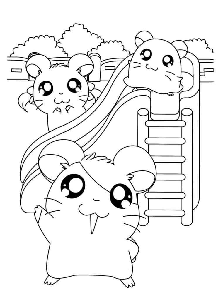 Raskrasil.com-Coloring-Pages-Hamster-90