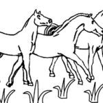 Raskrasil.com-Coloring-Pages-Horseland-106