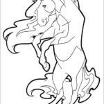 Raskrasil.com-Coloring-Pages-Horseland-13
