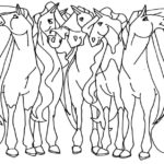Raskrasil.com-Coloring-Pages-Horseland-30