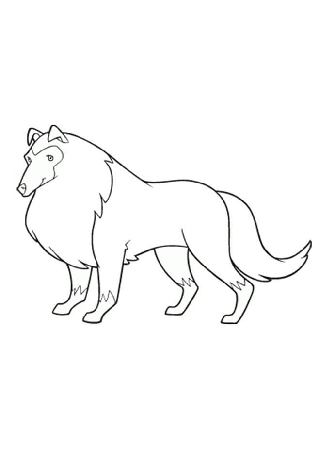 Horseland Coloring Pages | 90 Pictures Free Printable