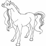 Raskrasil.com-Coloring-Pages-Horseland-77