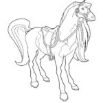 Raskrasil.com-Coloring-Pages-Horseland-81