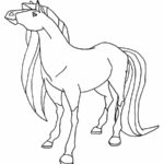 Raskrasil.com-Coloring-Pages-Horseland-87