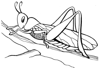 Omalovánky hmyzu k vytisknutí