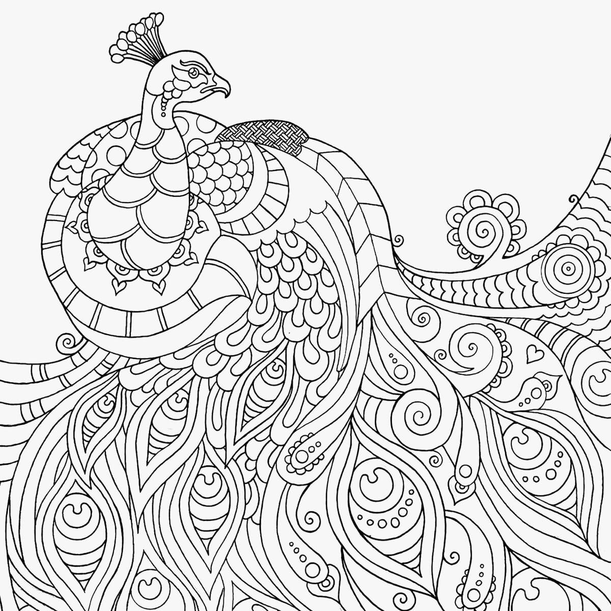 Raskrasil.com-Coloring-Pages-Intricate-30