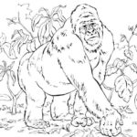Raskrasil.com-Coloring-Pages-King-Kong-13