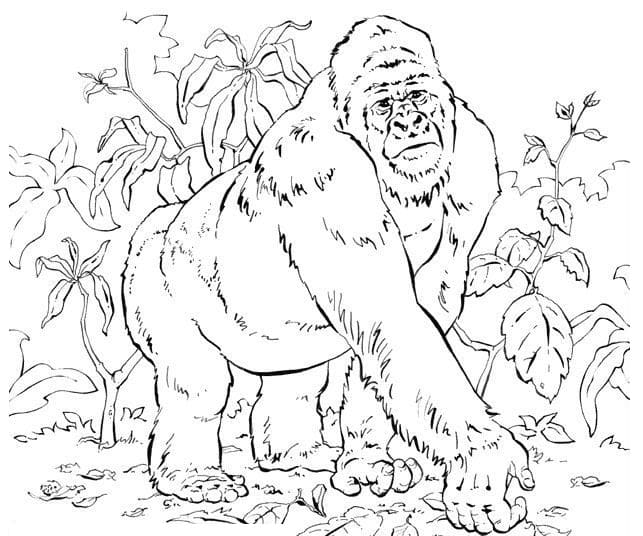 Dibujos de King Kong para Colorear - 30 imágenes para imprimir gratis