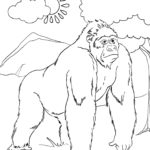 Raskrasil.com-Coloring-Pages-King-Kong-16