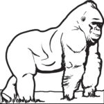 Raskrasil.com-Coloring-Pages-King-Kong-26