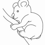 Raskrasil.com-Coloring-Pages-Koala-19