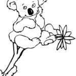 Raskrasil.com-Coloring-Pages-Koala-23