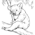 Raskrasil.com-Coloring-Pages-Koala-3