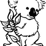 Raskrasil.com-Coloring-Pages-Koala-32