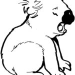 Raskrasil.com-Coloring-Pages-Koala-38