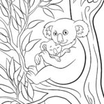 Raskrasil.com-Coloring-Pages-Koala-43