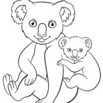 Raskrasil.com-Coloring-Pages-Koala-44
