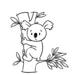 Raskrasil.com-Coloring-Pages-Koala-47