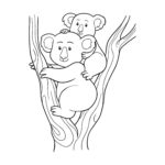 Raskrasil.com-Coloring-Pages-Koala-50